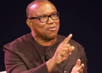 Obidient Movement Not An Appendage Of Any Political Party, Says Obi