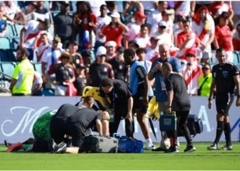 Assistant referee appears to collapse during Peru vs Canada at Copa America