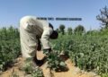 Hardship : Onitsha provincial catechists Association president Obidike urges Nigerians to move back to farming