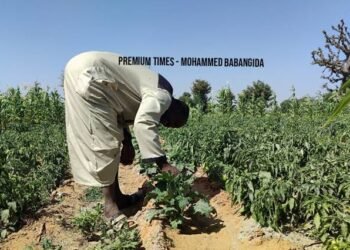 Hardship : Onitsha provincial catechists Association president Obidike urges Nigerians to move back to farming