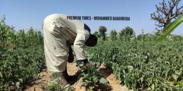 Hardship : Onitsha provincial catechists Association president Obidike urges Nigerians to move back to farming