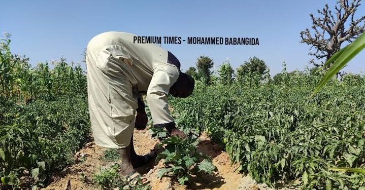 Hardship : Onitsha provincial catechists Association president Obidike urges Nigerians to move back to farming