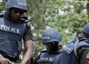 Police Begin Search as Gunmen Abduct Fr. Christian Ike