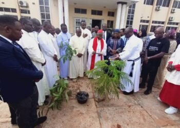 Cardinal Arinze plants symbolic tree to kick off Ojukwu Universityone-million tree planting campaign
