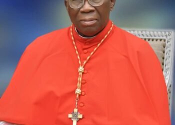 Cardinal Arinze hosts church organisations,emphasises importance of lay faithful,commends Archbishop Okeke