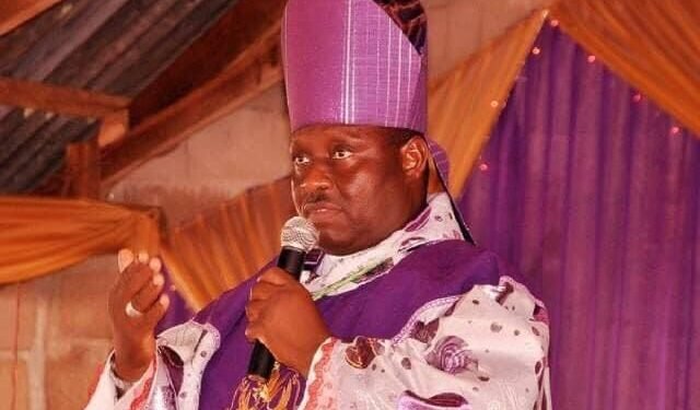 Improved Seedlings: Bishop Hammawa Urges Caution and Advises Federal Government on Application