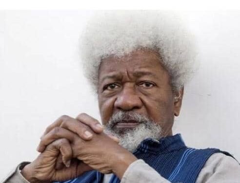 Prof Wole Soyinka faults Tinubu over crackdown on protesters by security forces