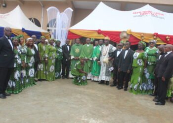 Excitement as Fr Philip Okoye flags of new yam farming season, produces biggest yams in Anambra
