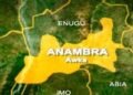 Anambra LG polls, Njoku led APGA wants Soludo’s cooperation for peace to reign