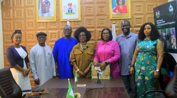 Anambra Lawmaker Partners Nigerian-American Nurses for Health Needs of Rural Dwellers