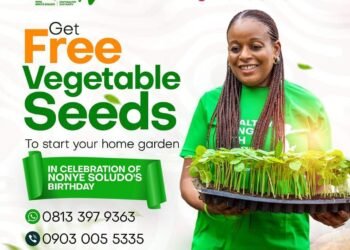 Soludo’s Wife Empowers 2,500 Beneficiaries with Free Organic Seeds, Revolutionizes Home Gardening in Anambra State