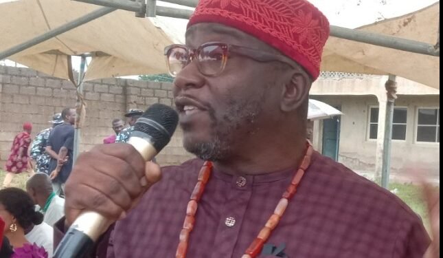 Prof Okolie urges Ndigbo to be more united