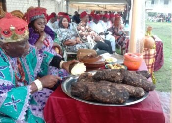 Igbos in Zaria celebrate 2024 New Yam Festival