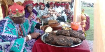 Igbos in Zaria celebrate 2024 New Yam Festival