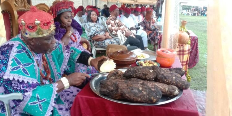 Igbos in Zaria celebrate 2024 New Yam Festival