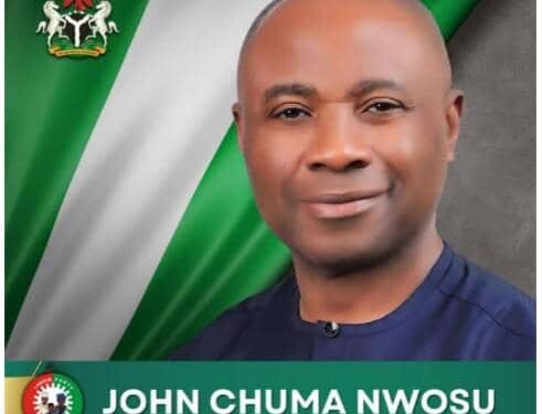 Nnewi born Businessman and Economist, John Nwosu, joins Guber Race under Labour Party