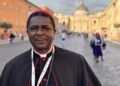 African Bishops Satisfied with Synod Outcome, Says Leading Prelate