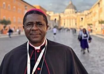 African Bishops Satisfied with Synod Outcome, Says Leading Prelate