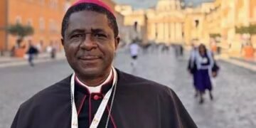 African Bishops Satisfied with Synod Outcome, Says Leading Prelate