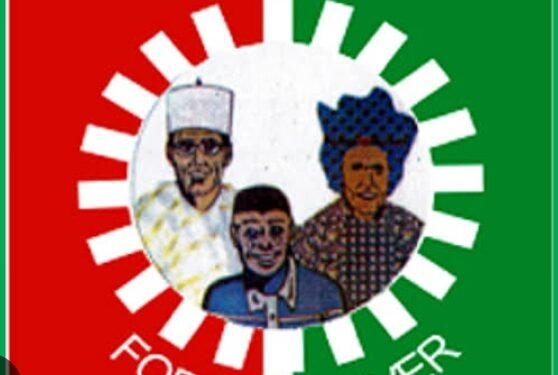 LP lawmakers query Soludo over move to circumvent LG financial autonomy