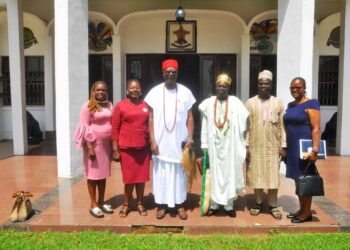 Set up framework for prevention of gender violence,Igwe Achebe advises advocates