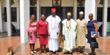 Set up framework for prevention of gender violence,Igwe Achebe advises advocates