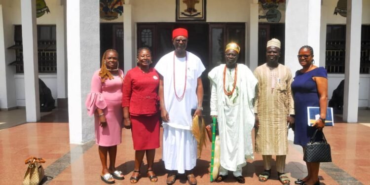 Set up framework for prevention of gender violence,Igwe Achebe advises advocates