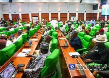 House of Reps Advances Bill to Remove Immunity for VP, Governors