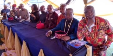 12 Igbo Doctors in Diaspora Begin Erection of World-Class Hospital in Anambra to Save Lives