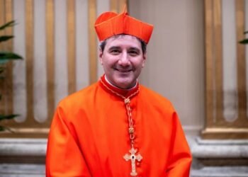 Catholics must stop using ‘symbols that do not represent us’ – Cardinal Leo