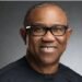 Peter Obi raises alarm over insecurity, supports military intervention in Benue
