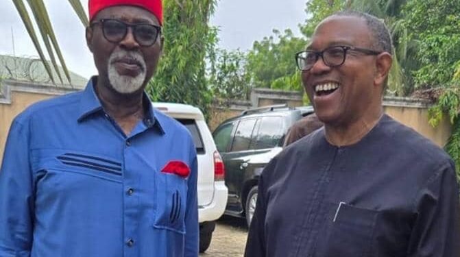 Anambra 2025: Moghalu Meets Obi as Labour Party pays N50m ANSAA campaign permit,gets Ifeanyi Uba’s political family endorsement