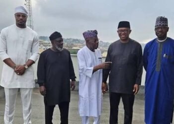 Obi, Rhodes-Vivour, Tanko, others visit Obasanjo in Ogun