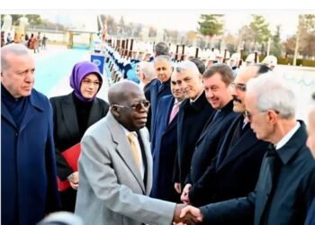Tinubu stumbles, falls during reception in Türkiye, no cause for alarm, says Presidency