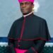 Bishop Gerald Mamman Musa Elected to Lead Communications for Catholic Bishops’ Conference of Nigeria