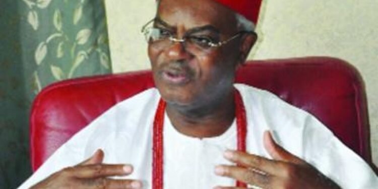 “Enough Is enough”: Obi of Onitsha explains decision to reduce burial rites to one day