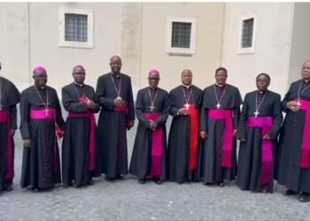 Archbishop Okeke,other Nigerians bishops take landmark Ad Limina visit to Rome