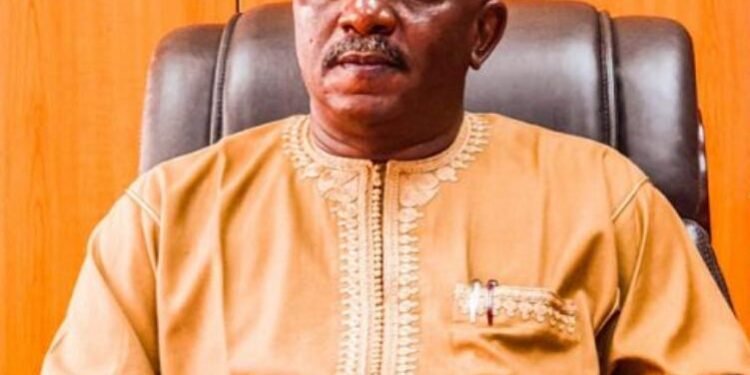 Court jails ex-Buhari Power minister 75 years for fraud
