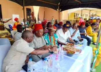 Fr. Philip Okoye, Harvests Biggest Yam Tuber in Anambra, Marks 10 Years of Yam Farming