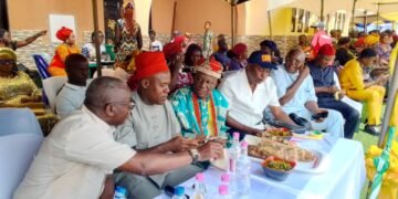 Fr. Philip Okoye, Harvests Biggest Yam Tuber in Anambra, Marks 10 Years of Yam Farming
